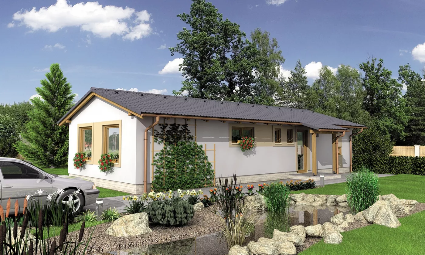 House picture